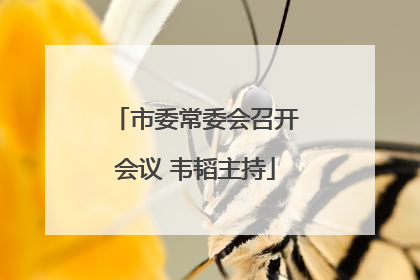 市委常委会召开会议 韦韬主持