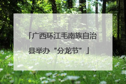广西环江毛南族自治县举办“分龙节”
