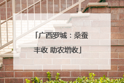 广西罗城：桑蚕丰收 助农增收