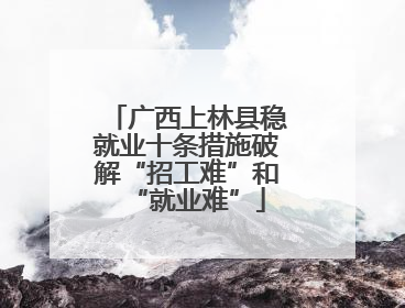 广西上林县稳就业十条措施破解“招工难”和“就业难”