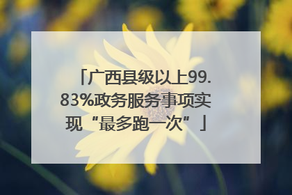 广西县级以上99.83%政务服务事项实现“最多跑一次”