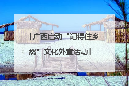 广西启动“记得住乡愁”文化外宣活动