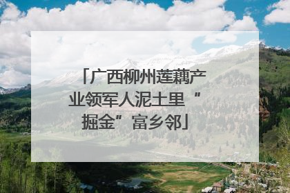 广西柳州莲藕产业领军人泥土里“掘金”富乡邻