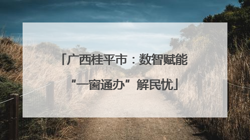 广西桂平市：数智赋能“一窗通办”解民忧