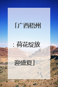 广西梧州：荷花绽放迎盛夏