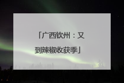 广西钦州：又到辣椒收获季
