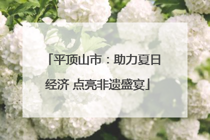 平顶山市：助力夏日经济 点亮非遗盛宴