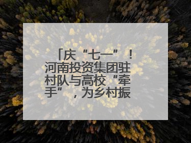 庆“七一”！河南投资集团驻村队与高校“牵手”，为乡村振兴添新活力