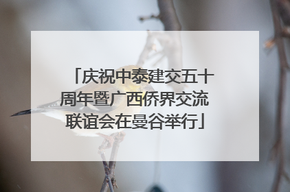 庆祝中泰建交五十周年暨广西侨界交流联谊会在曼谷举行