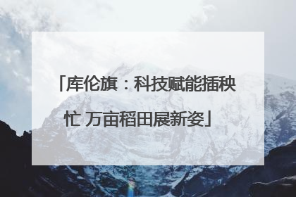 库伦旗：科技赋能插秧忙 万亩稻田展新姿