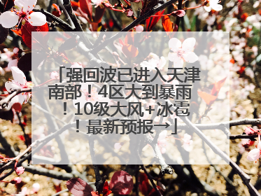 强回波已进入天津南部！4区大到暴雨！10级大风+冰雹！最新预报→
