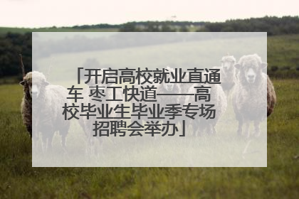 开启高校就业直通车 枣工快道——高校毕业生毕业季专场招聘会举办