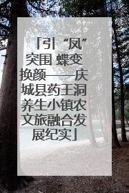 引“凤”突围 蝶变换颜——庆城县药王洞养生小镇农文旅融合发展纪实