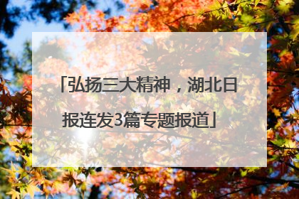 弘扬三大精神，湖北日报连发3篇专题报道