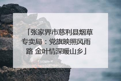 张家界市慈利县烟草专卖局：党旗映照风雨路 金叶情深暖山乡