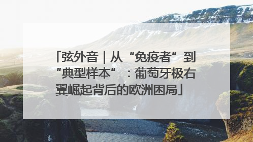 弦外音｜从“免疫者”到“典型样本”：葡萄牙极右翼崛起背后的欧洲困局
