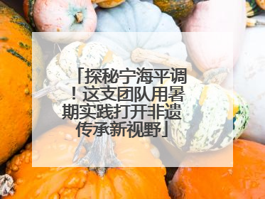 探秘宁海平调！这支团队用暑期实践打开非遗传承新视野