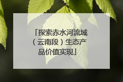 探索赤水河流域（云南段）生态产品价值实现