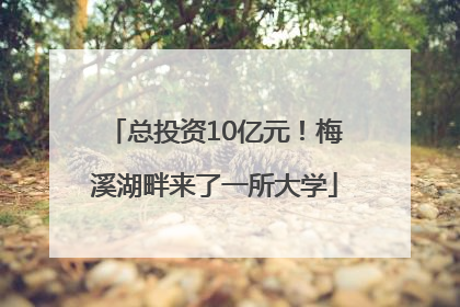 总投资10亿元！梅溪湖畔来了一所大学