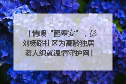 情暖“鹤耋安”，彭刘杨路社区为高龄独居老人织就温情守护网
