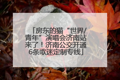 房东的猫“世界/青年”演唱会济南站来了！济南公交开通6条歌迷定制专线