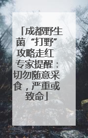 成都野生菌“打野”攻略走红 专家提醒：切勿随意采食，严重或致命