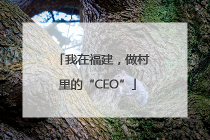 我在福建，做村里的“CEO”