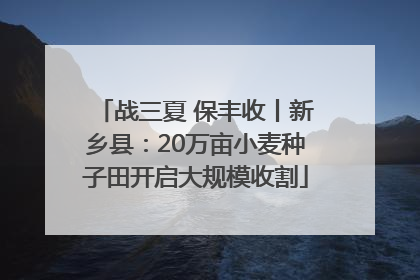 战三夏 保丰收丨新乡县：20万亩小麦种子田开启大规模收割