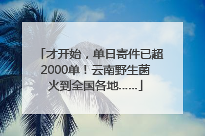 才开始，单日寄件已超2000单！云南野生菌火到全国各地……