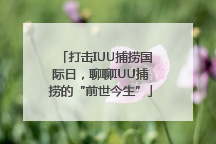 打击IUU捕捞国际日，聊聊IUU捕捞的“前世今生”