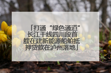 打通“绿色通道” 长江干线四川段首艘在建新能源船舶抵押贷款在泸州落地