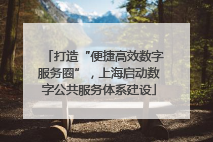 打造“便捷高效数字服务圈”，上海启动数字公共服务体系建设