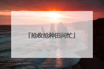抢收抢种田间忙