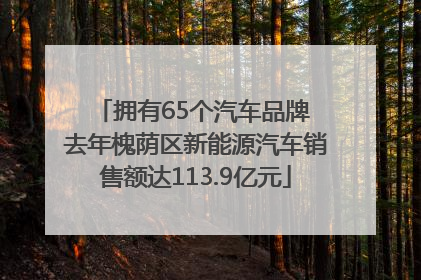 拥有65个汽车品牌 去年槐荫区新能源汽车销售额达113.9亿元