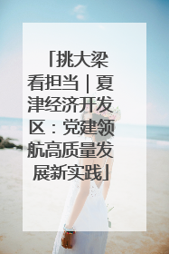 挑大梁 看担当｜夏津经济开发区：党建领航高质量发展新实践