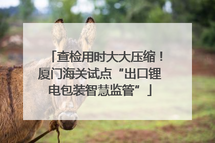 查检用时大大压缩！厦门海关试点“出口锂电包装智慧监管”