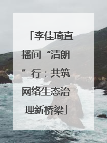 李佳琦直播间“清朗”行：共筑网络生态治理新桥梁
