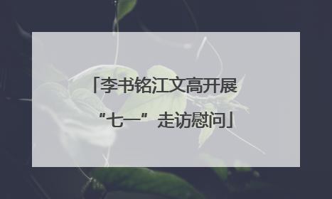 李书铭江文高开展“七一”走访慰问