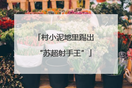 村小泥地里踢出“苏超射手王”