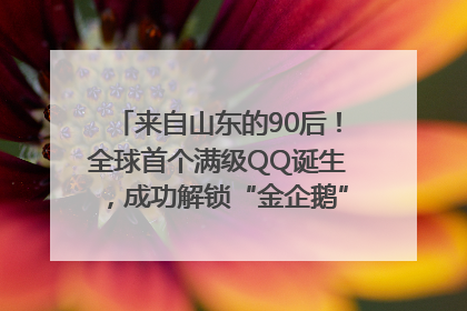 来自山东的90后！全球首个满级QQ诞生，成功解锁“金企鹅”，是继承父亲账号