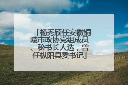 杨秀颀任安徽铜陵市政协党组成员、秘书长人选，曾任枞阳县委书记