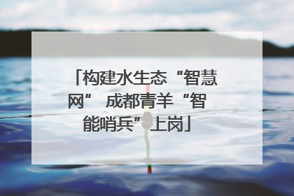 构建水生态“智慧网” 成都青羊“智能哨兵”上岗