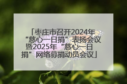 枣庄市召开2024年“慈心一日捐”表扬会议暨2025年“慈心一日捐”网络募捐动员会议