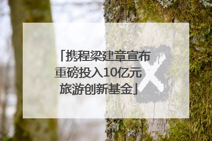 携程梁建章宣布重磅投入10亿元旅游创新基金