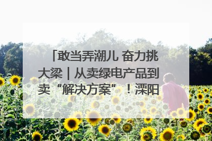 敢当弄潮儿 奋力挑大梁｜从卖绿电产品到卖“解决方案”！溧阳立足产业优势建成五大微电网示范项目
