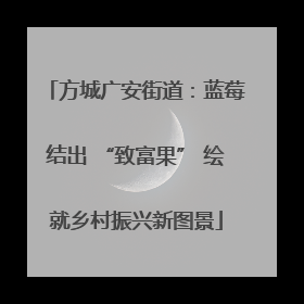 方城广安街道：蓝莓结出 “致富果” 绘就乡村振兴新图景