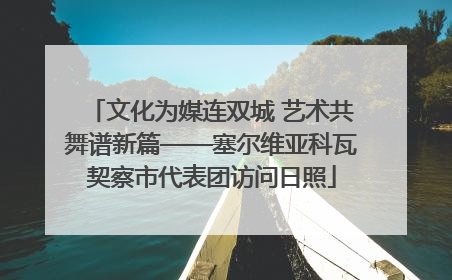 文化为媒连双城 艺术共舞谱新篇——塞尔维亚科瓦契察市代表团访问日照