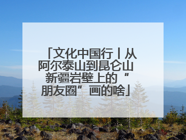 文化中国行丨从阿尔泰山到昆仑山 新疆岩壁上的“朋友圈”画的啥
