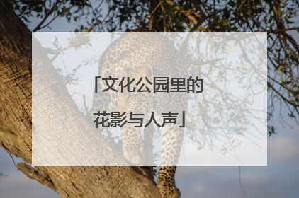 文化公园里的花影与人声