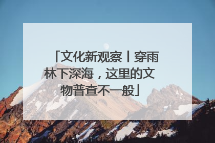 文化新观察丨穿雨林下深海，这里的文物普查不一般